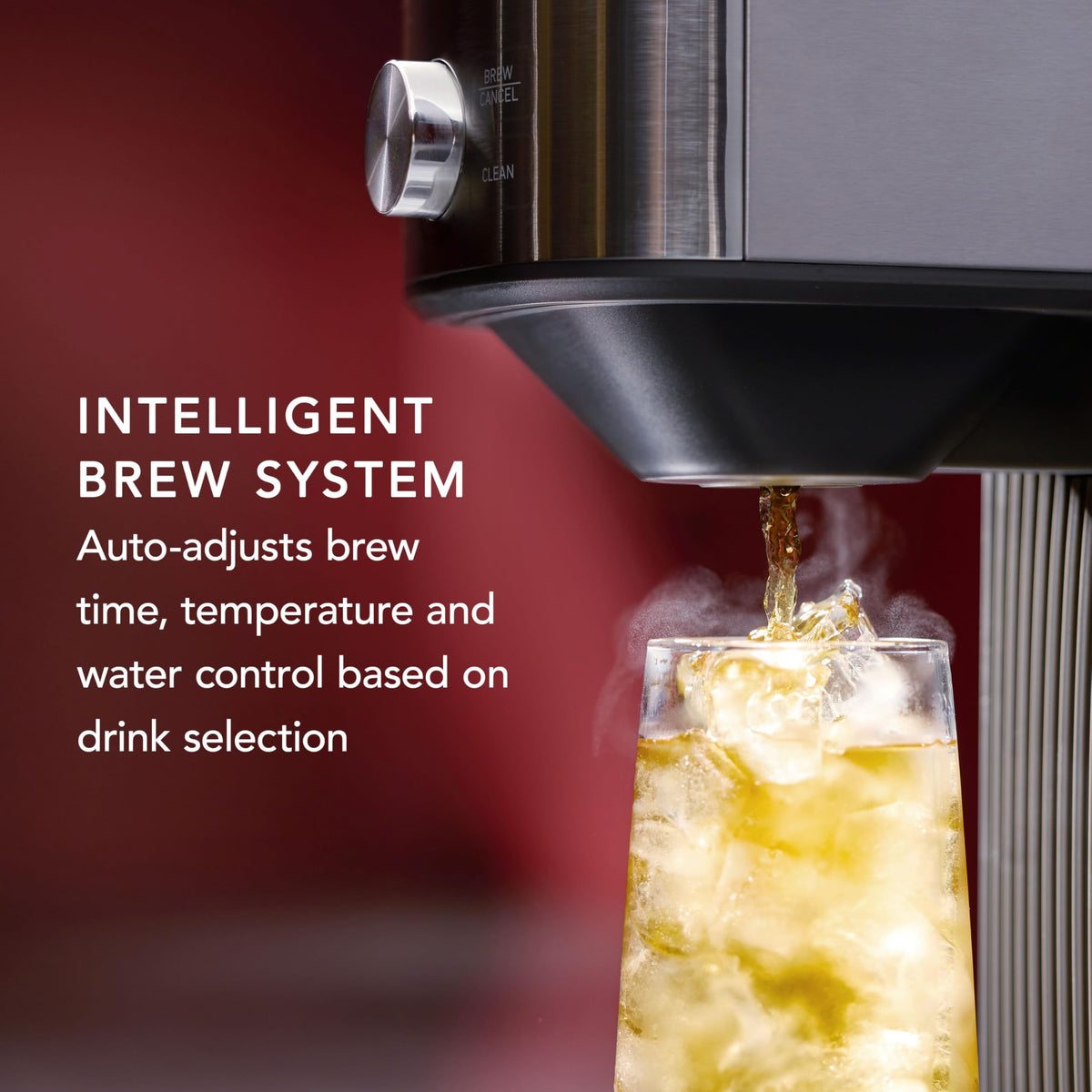 Hot & Cold Brew Coffee Maker & Tea Brewer