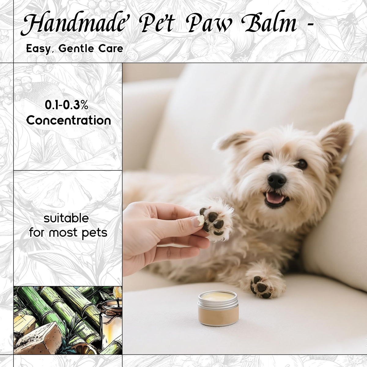 Bamboo Fragrance Oil for Candle & Soap Making