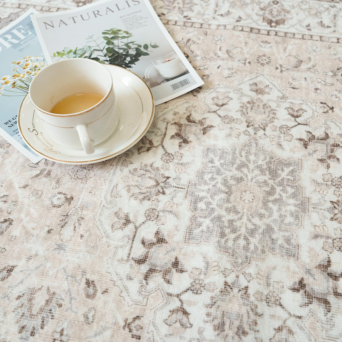 3x5 Living Room Area Rugs (15 Sq Ft)