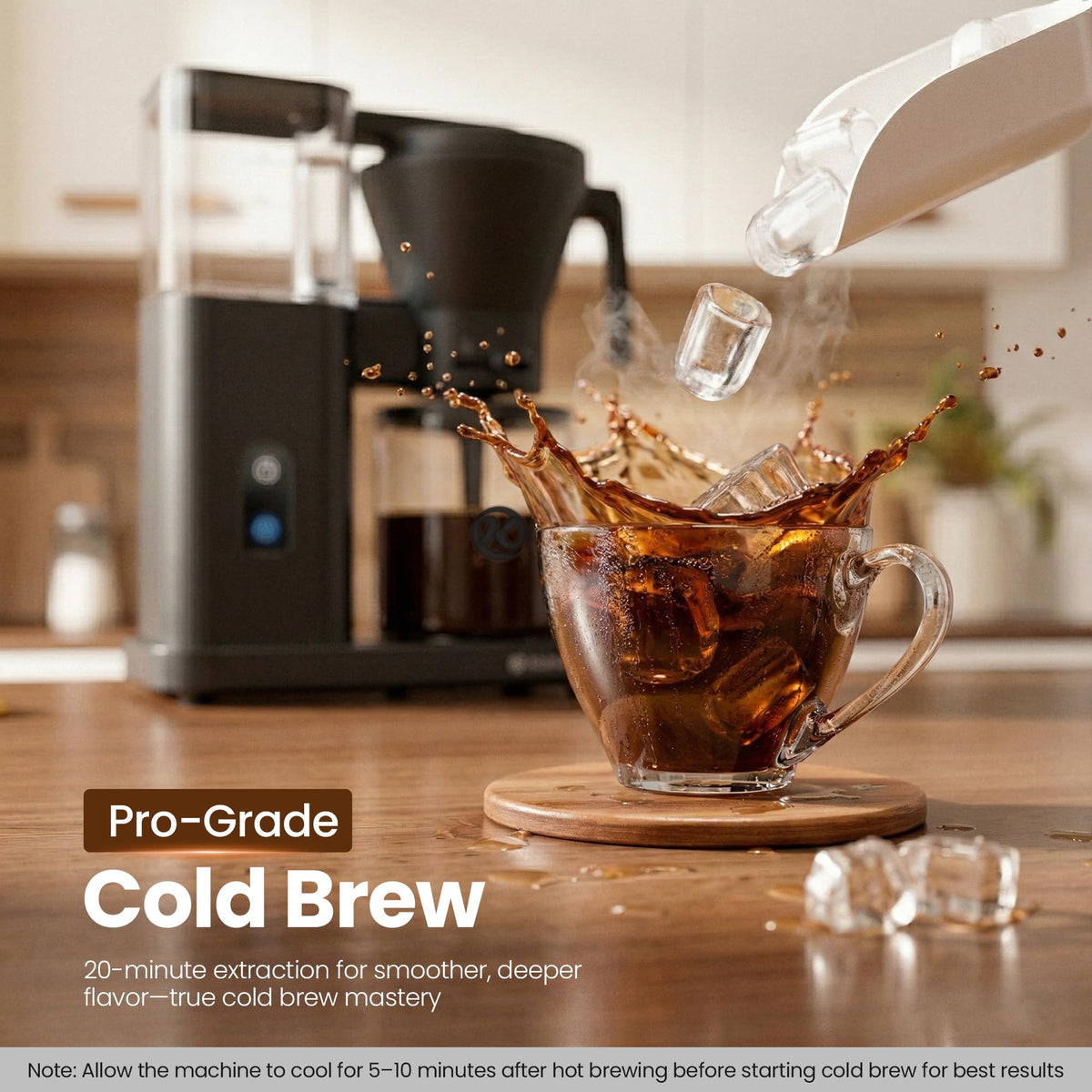 SCA Certified 8 Cup Drip Coffee Maker