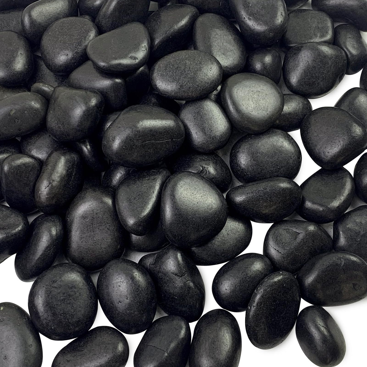5 lbs Black Pebbles for Indoor Plants