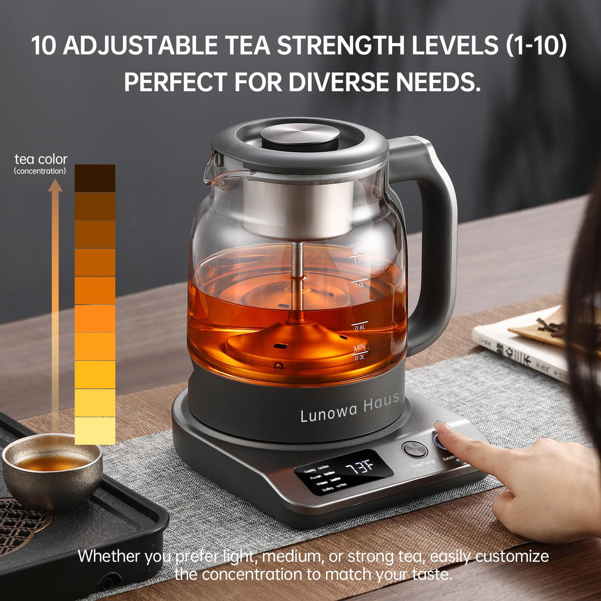 120V Titanium & Glass Electric Tea Kettle