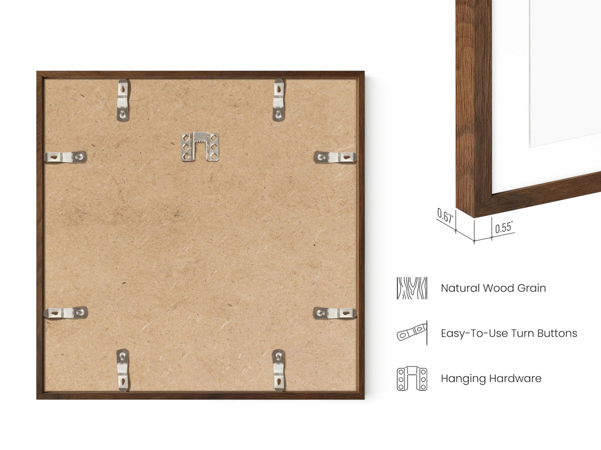 Walnut Square Frames 12x12 Matted to 8x8 (3 Count)