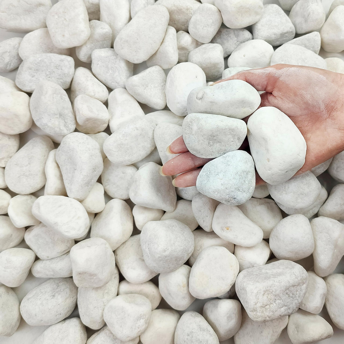 10 lbs White Gravel for Aquarium