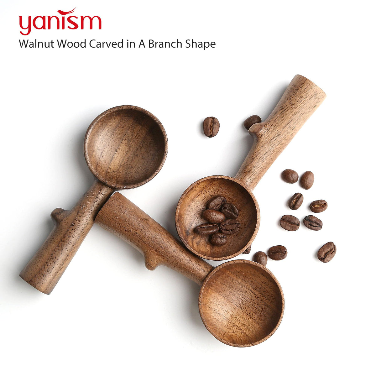 Walnut Coffee Scoop