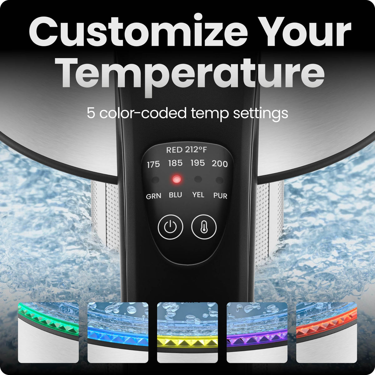 Electric Kettle with Temperature Control
