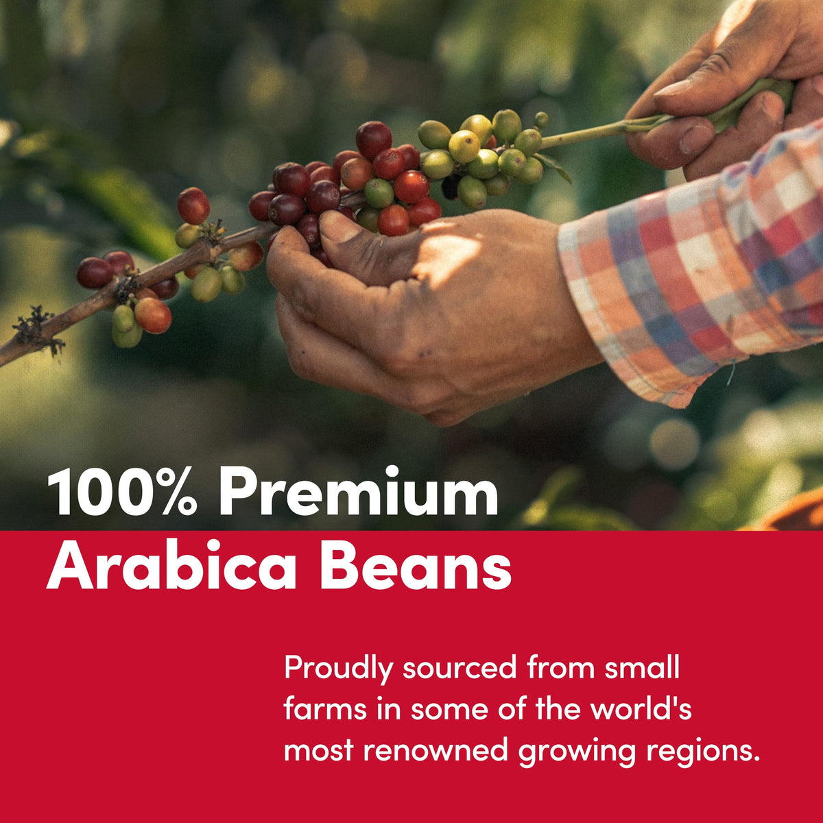 Tim Horton's 100% Arabica Medium Roast (12 Ounce)
