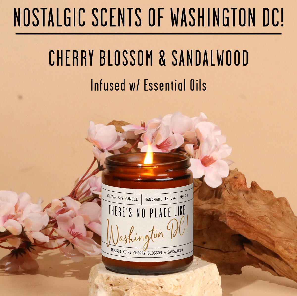 Washington DC Gifts (9 Ounce)