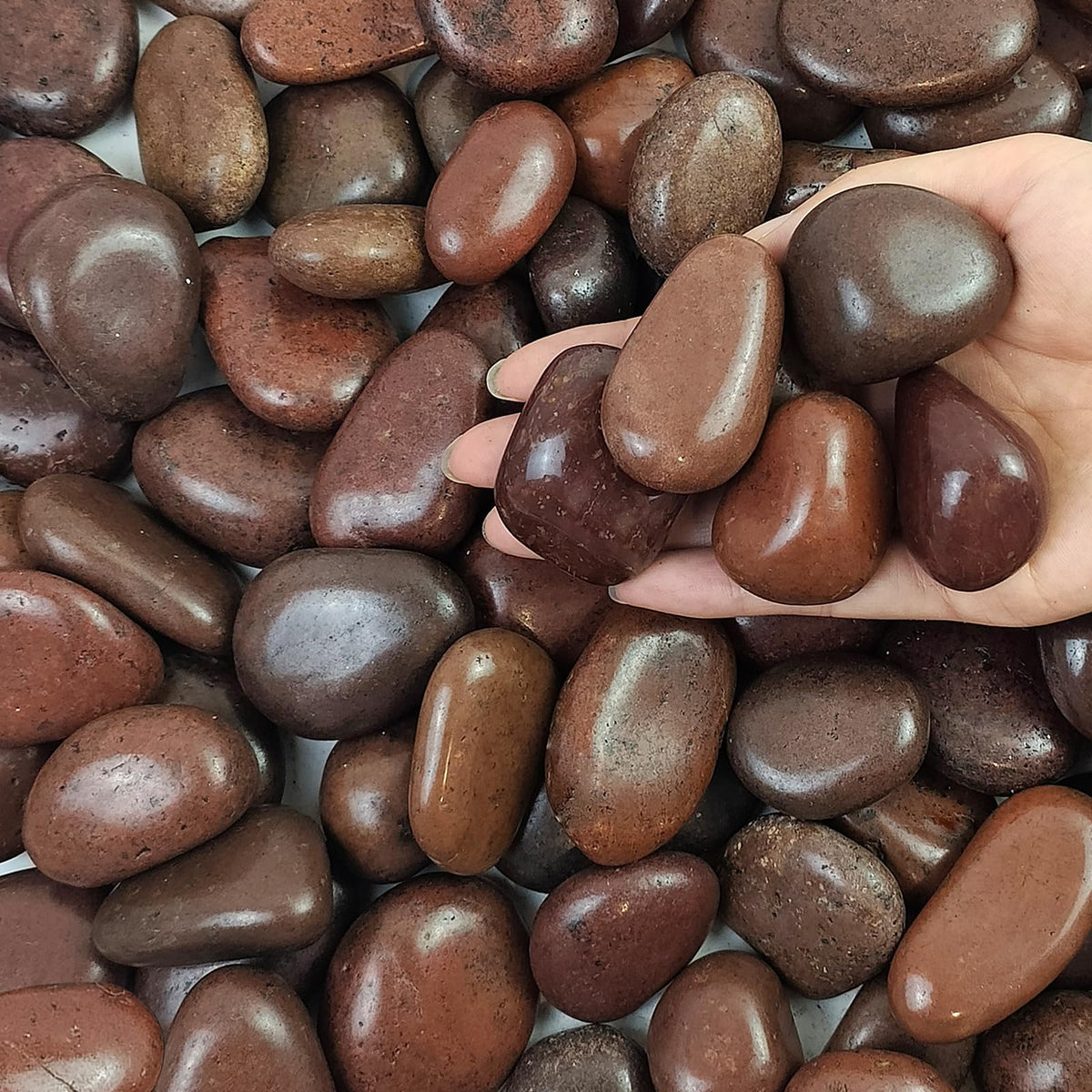20 lbs Red River Rocks for Landscaping