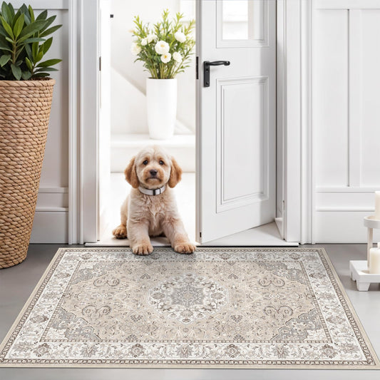 HY HAOYUNLAI 2.6x10 Washable Hallway Runner Rug Non Slip Kitchen Floor Mat