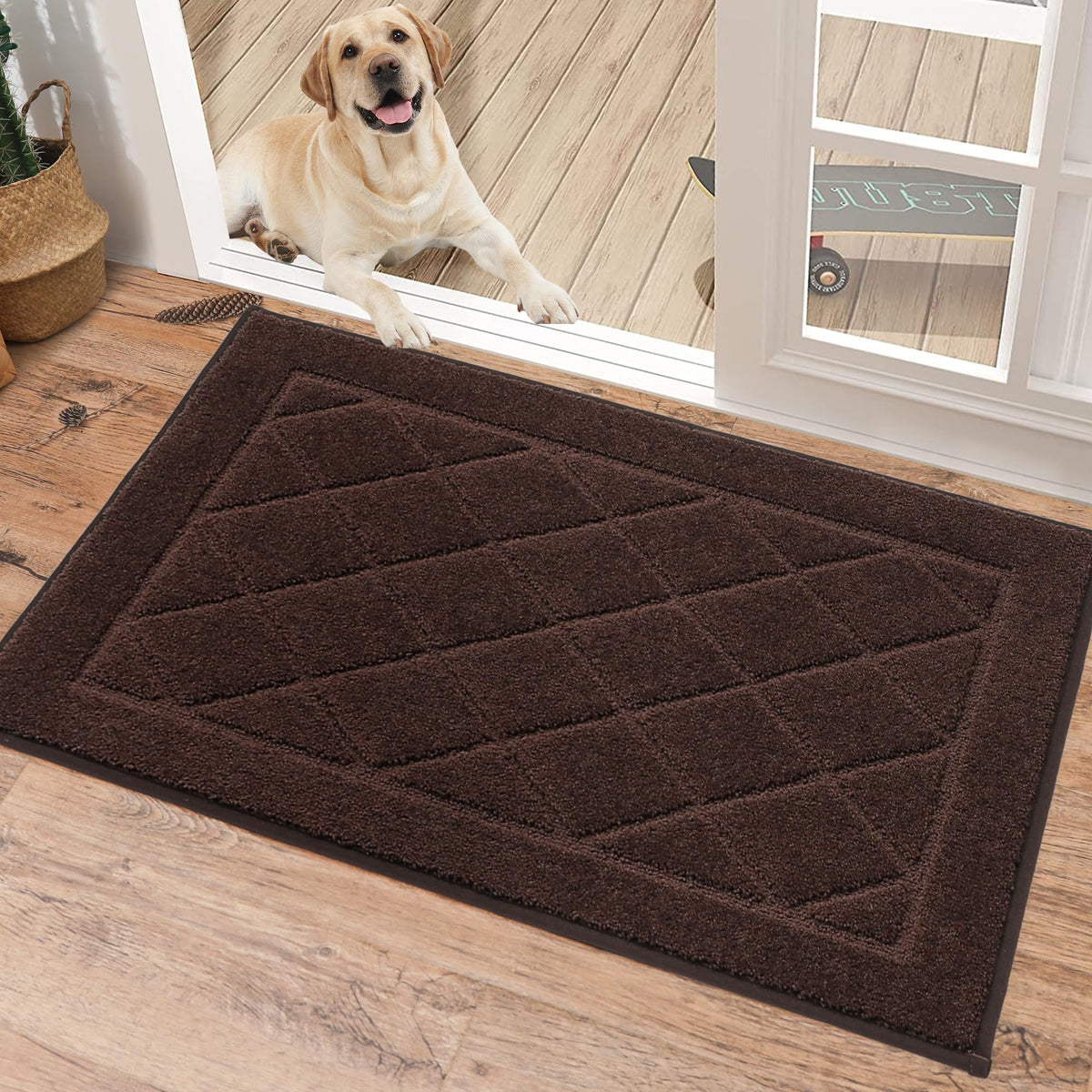 Dirt Trapper Door Mat 20" x 32"
