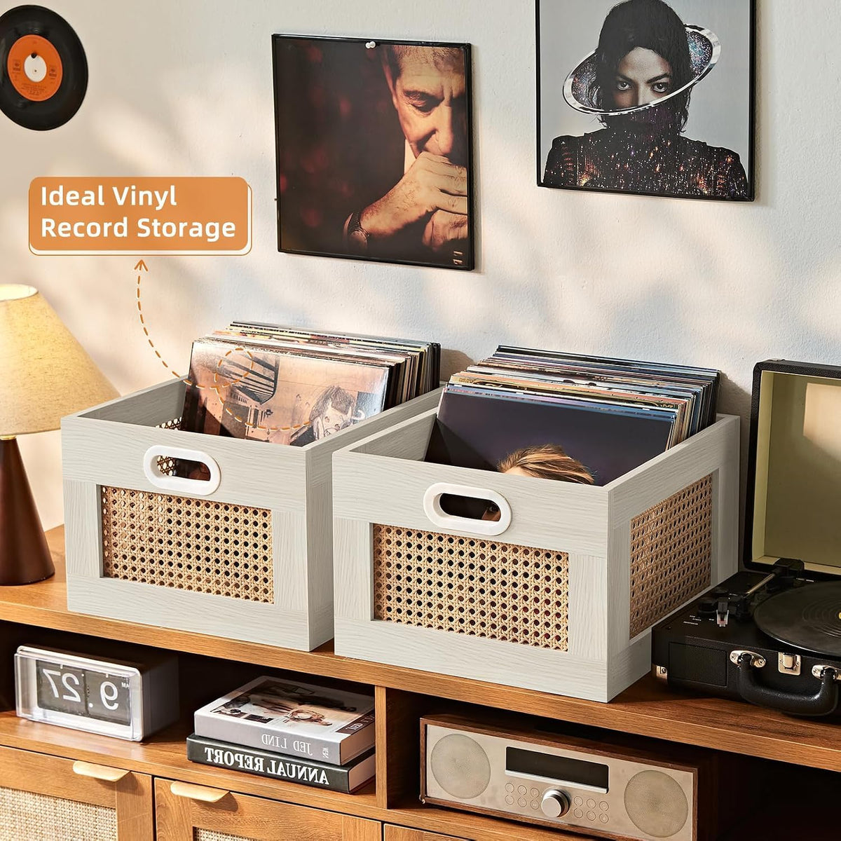 2 Pack Vinyl Record Storage Crates (2 Count)