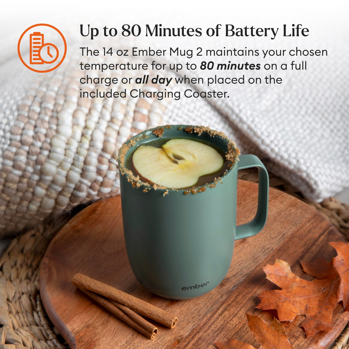 Temperature Control 14oz Smart Mug 2