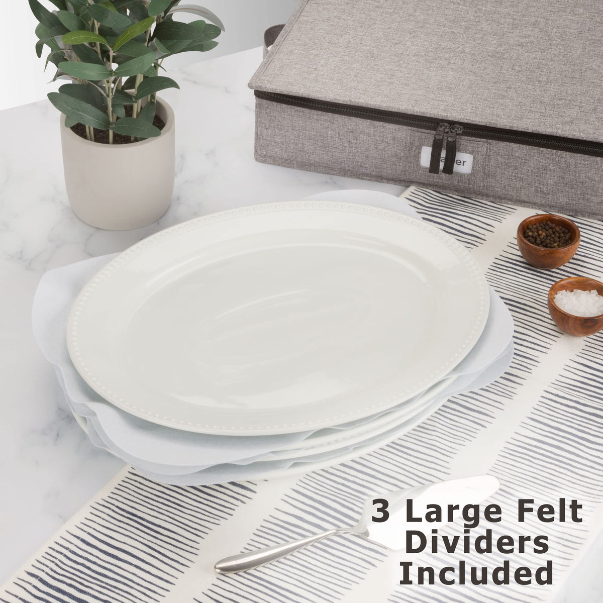 Platter Storage Case