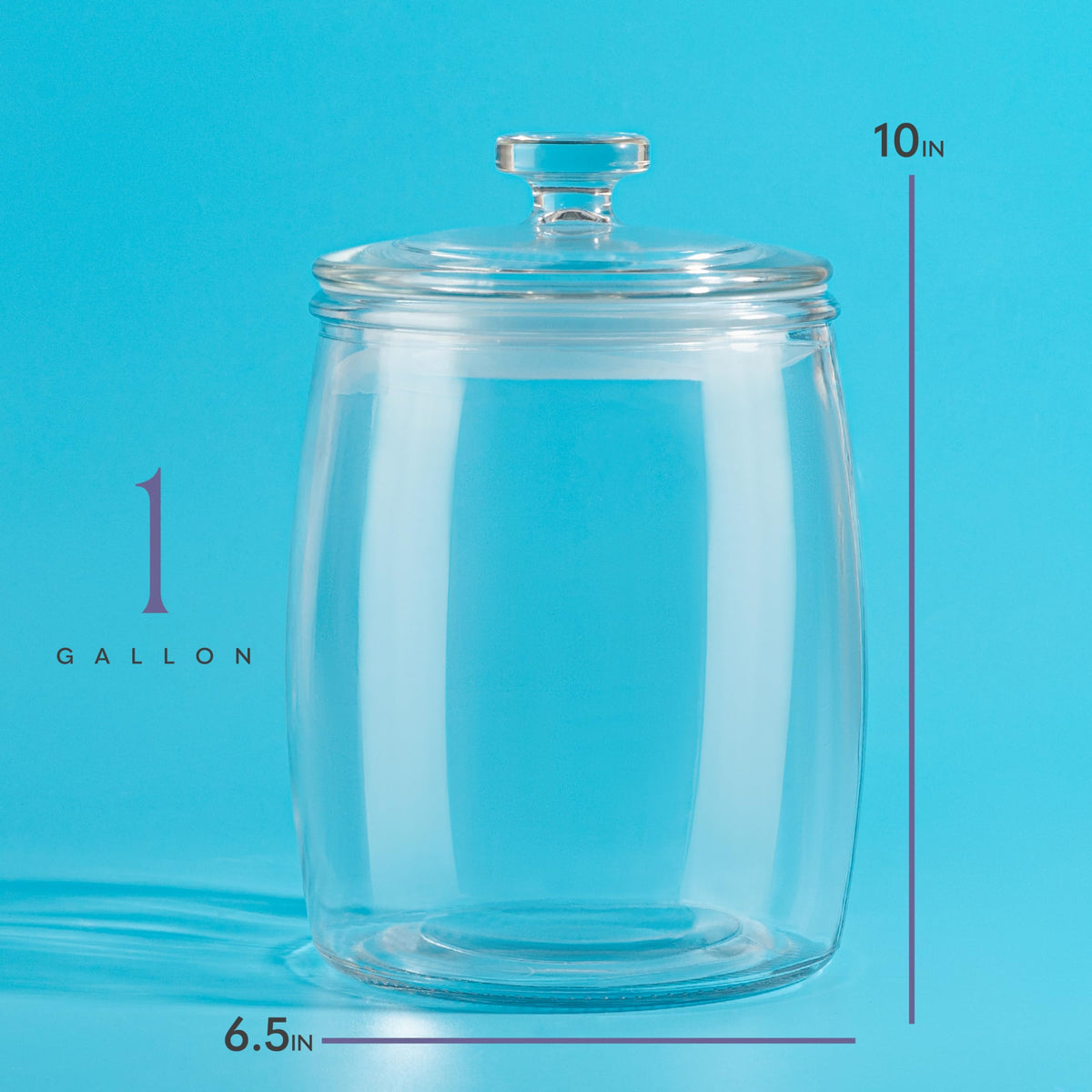 1 Gallon Glass Cookie Jar with Lid (2 Count)
