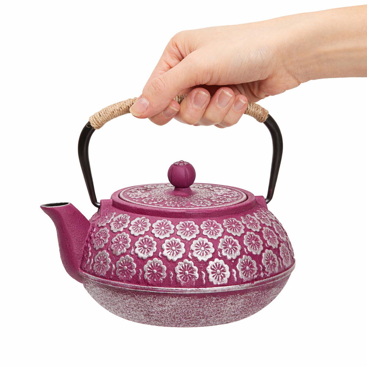 Cast Iron Tea Kettle with Infuser