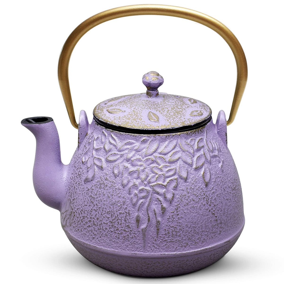Tea Kettle TOPTIER Japanese Cast Iron Teapot with Stainless Steel Infuser
