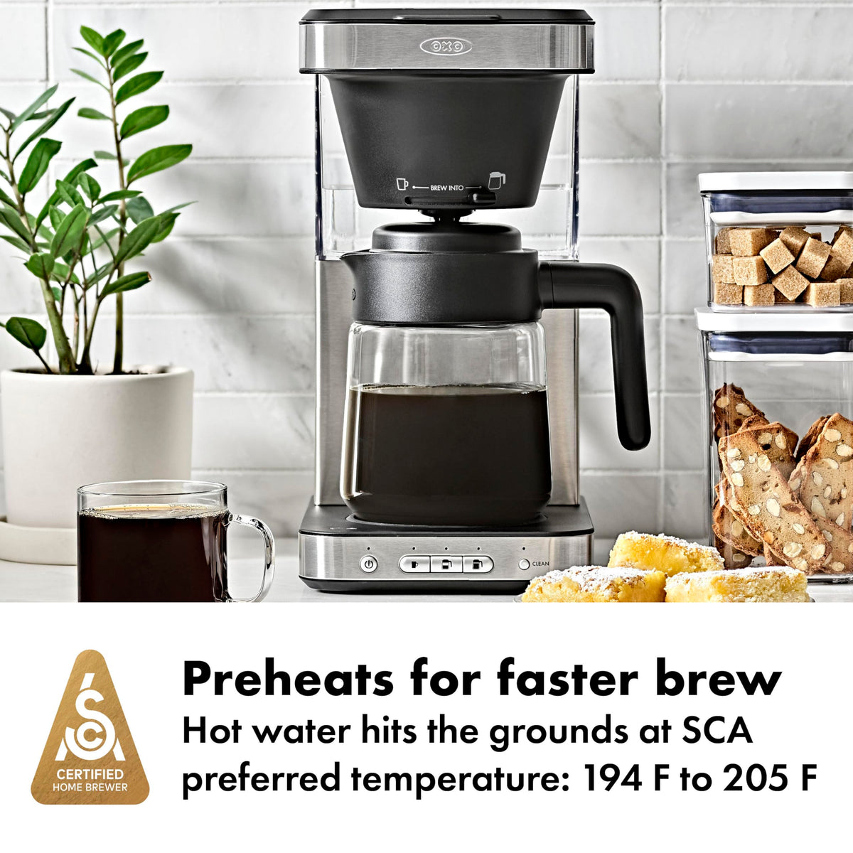 Brew 8 Cup Drip Coffee Maker