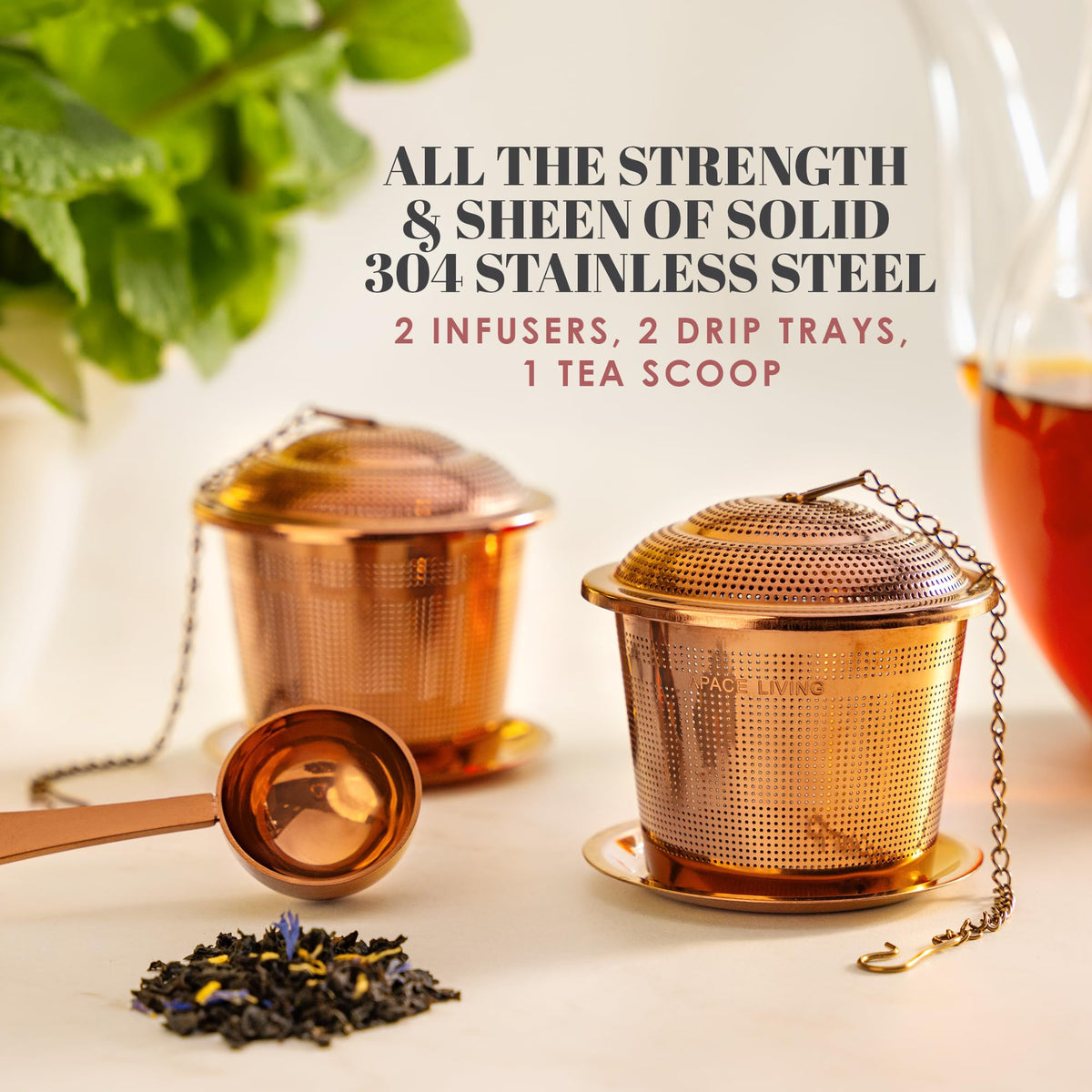 Tea Infuser Set of 2 with Tea Scoop & Drip Trays