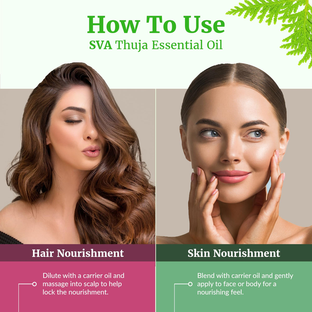 SVA Thuja Essential Oil (4 Fl Oz)