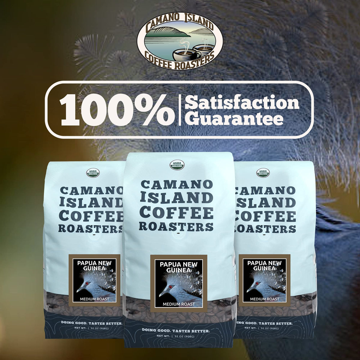 Papua New Guinea Whole Bean 2lb (32 Ounce)