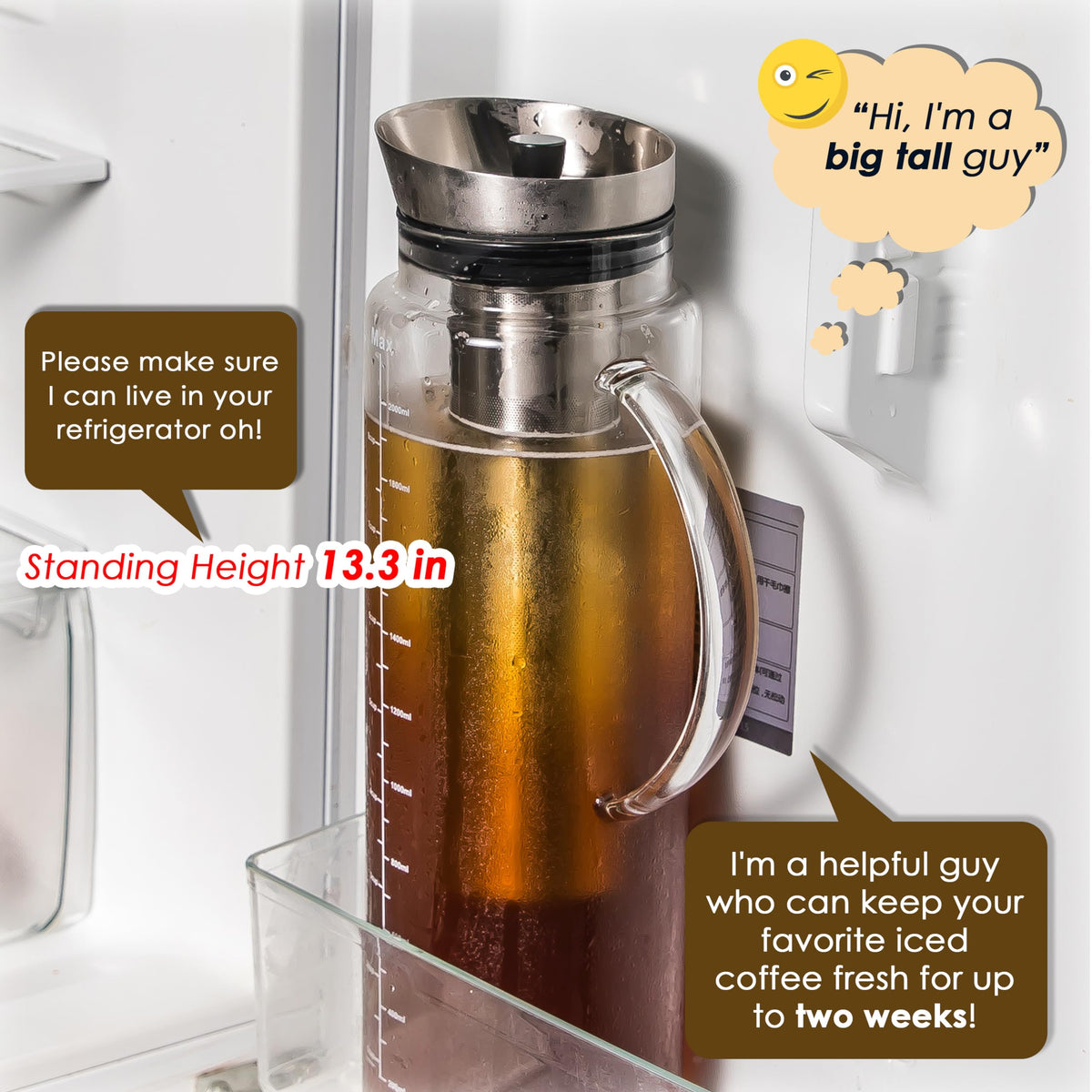 68oz Cold Brew Coffee Maker (68 Ounce)