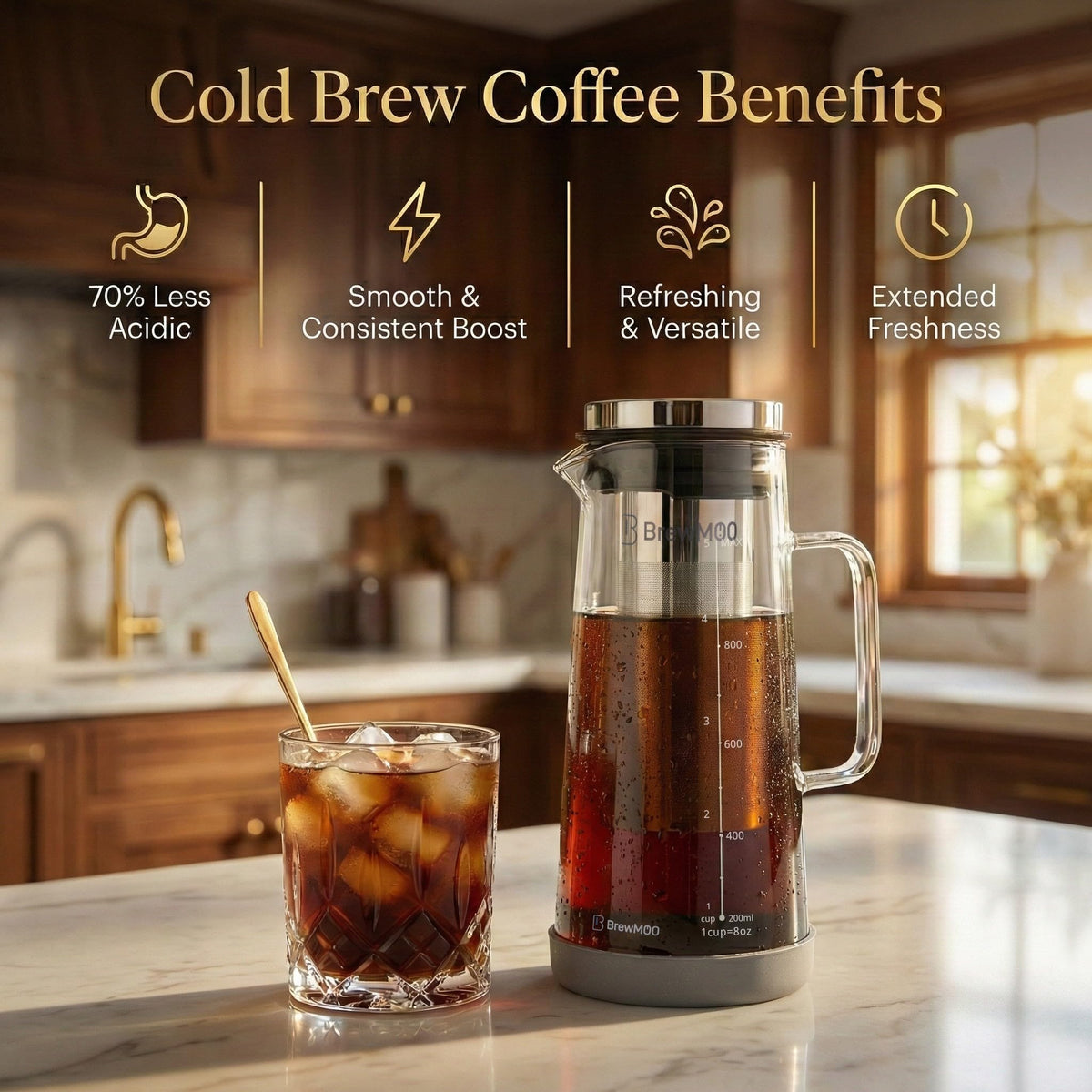 Sleek 1.0 L 34 oz Cold Brew Coffee Maker Pitcher