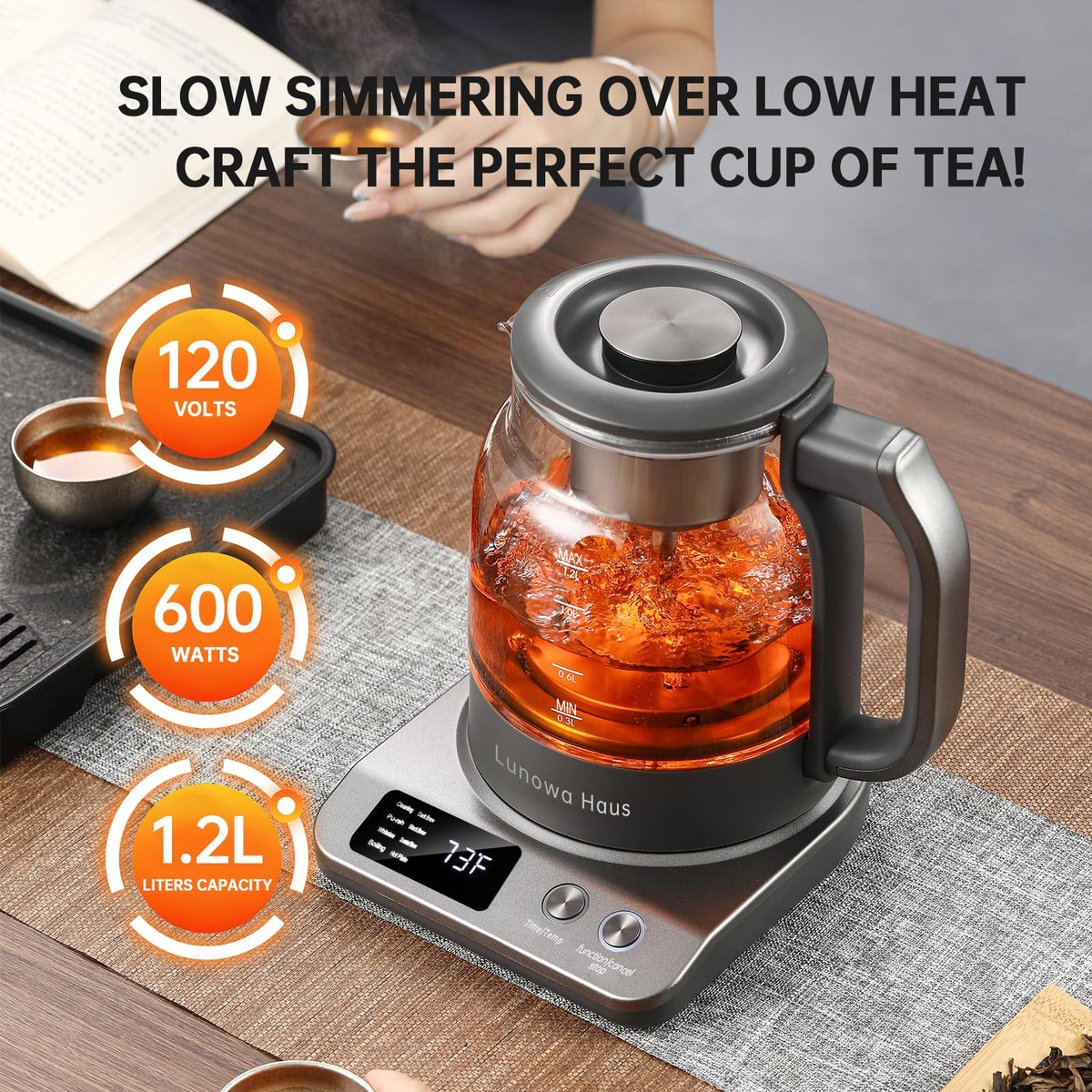 120V Titanium & Glass Electric Tea Kettle