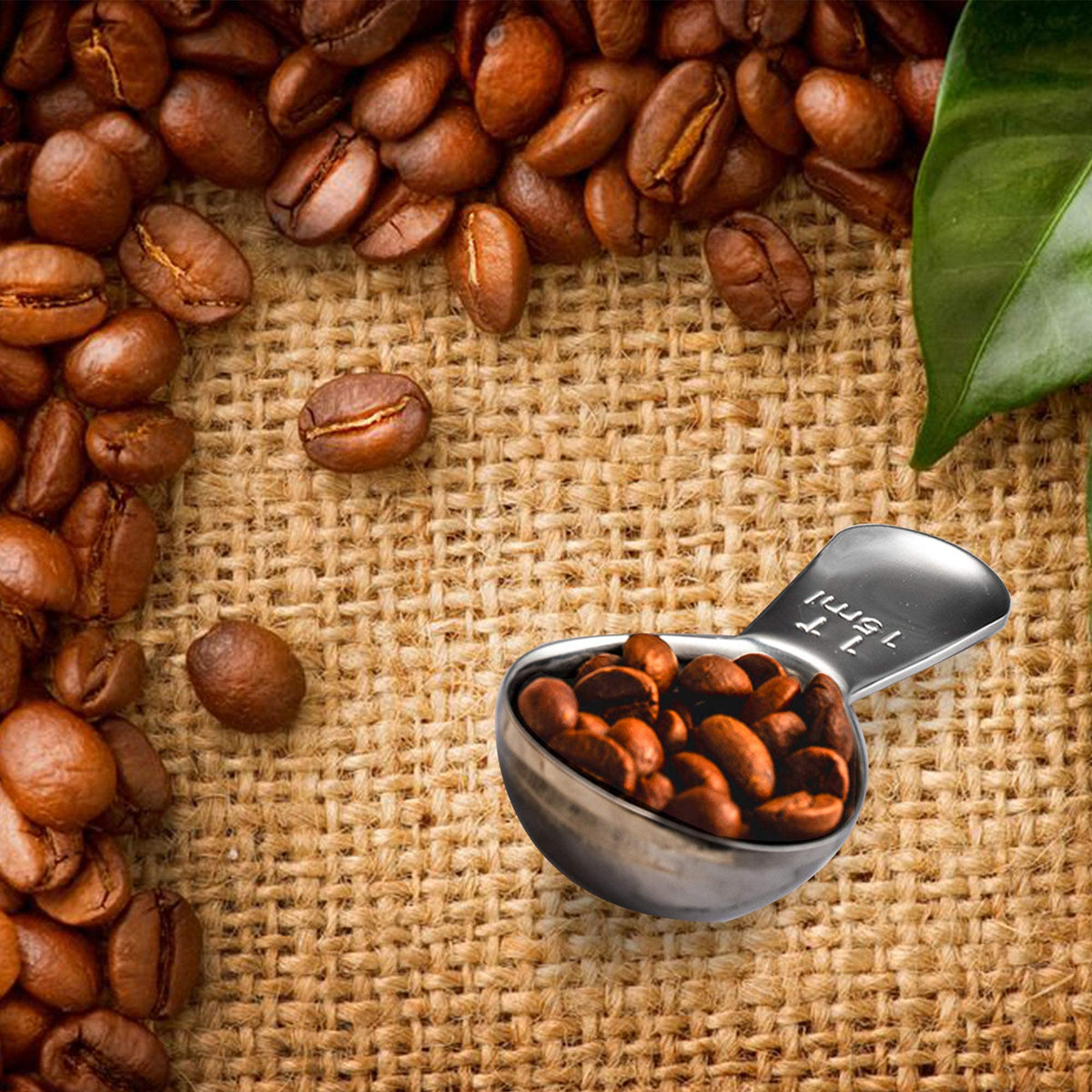 Coffee Scoop Set (3 Count)