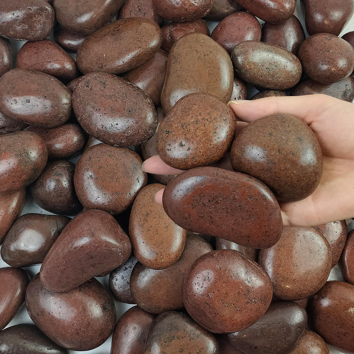 20 lbs Red River Rocks for Garden