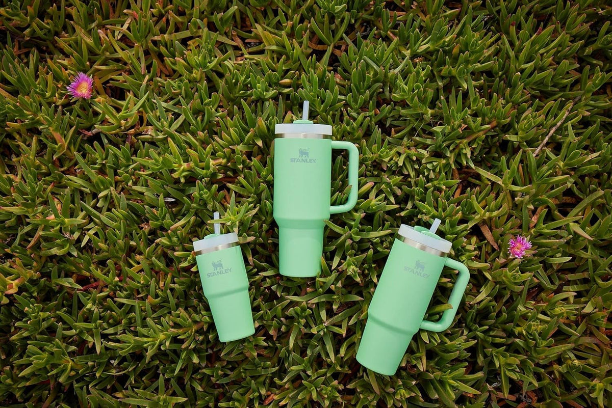 Quencher H2.0 Tumbler with Straw 20 oz