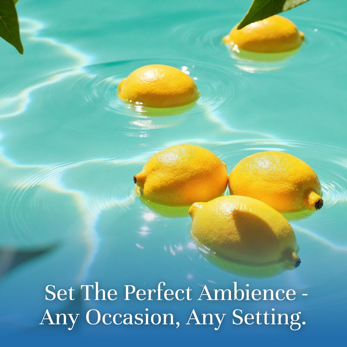 Fragrance Oil Summer Set (4.76 Fl Oz)
