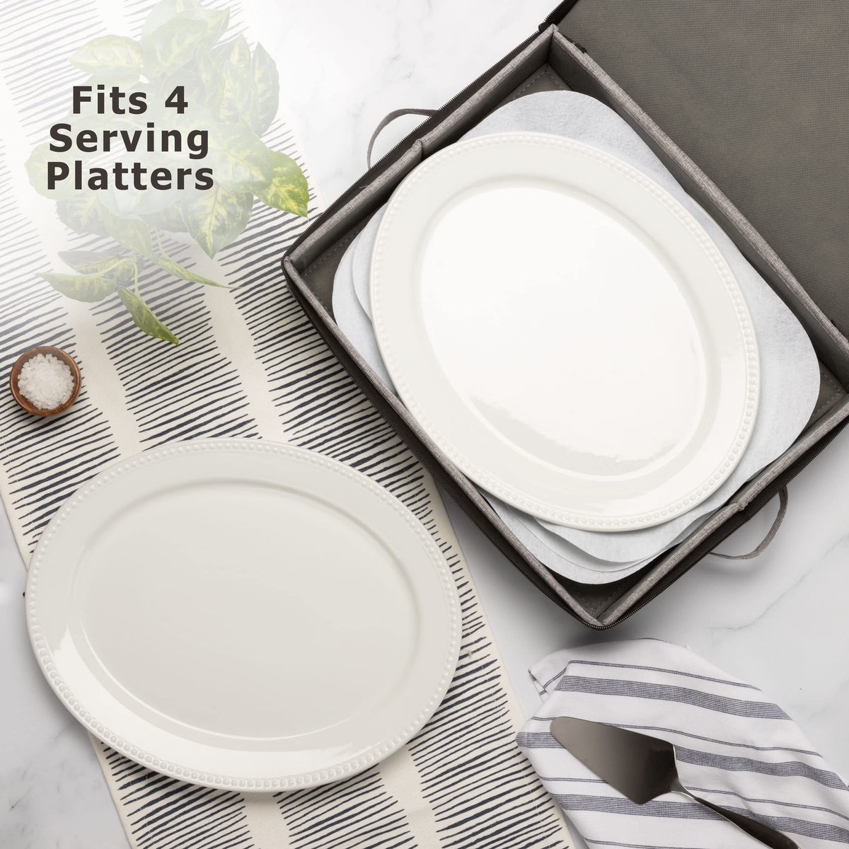 Platter Storage Case
