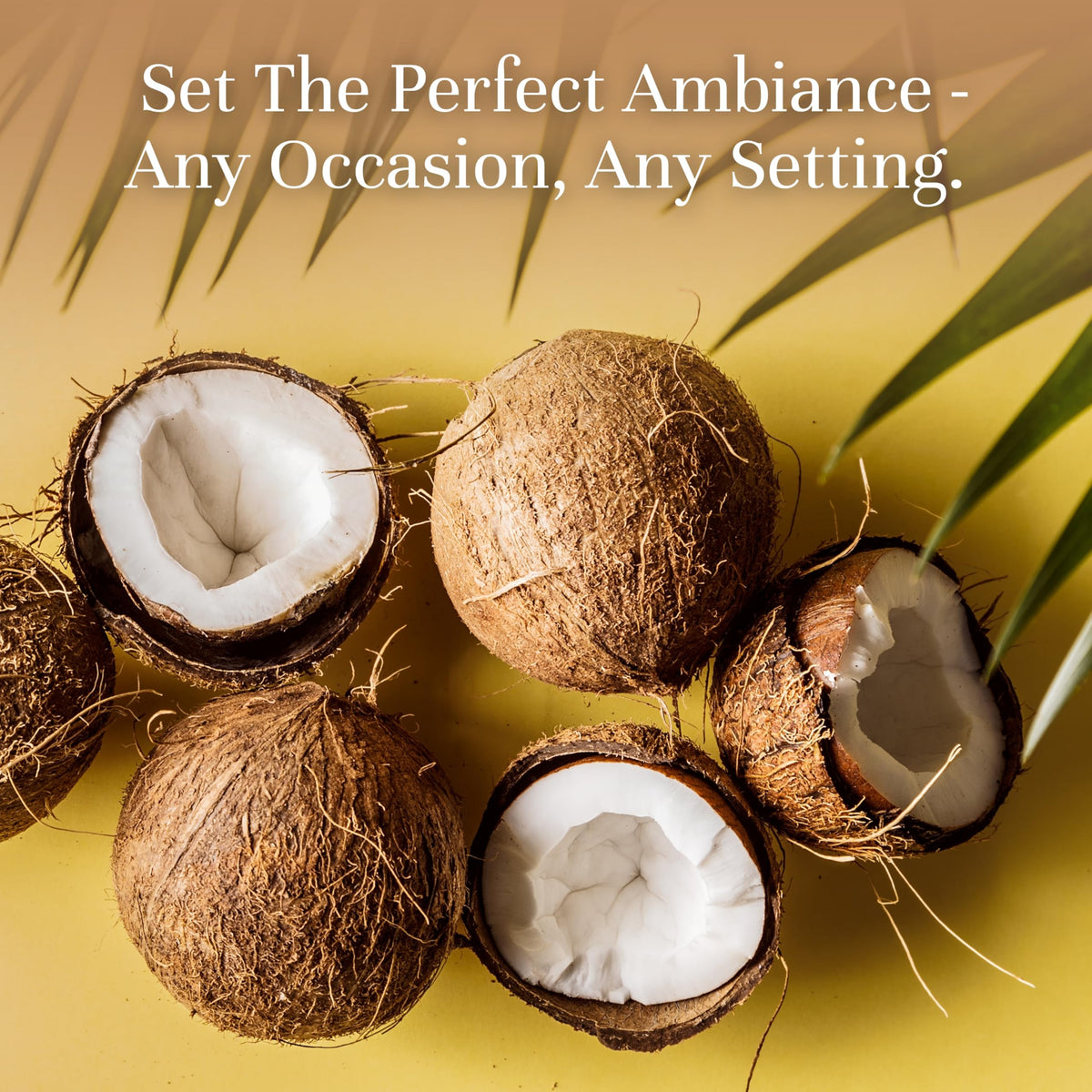 Fragrance Oil (3.38 Fl Oz)