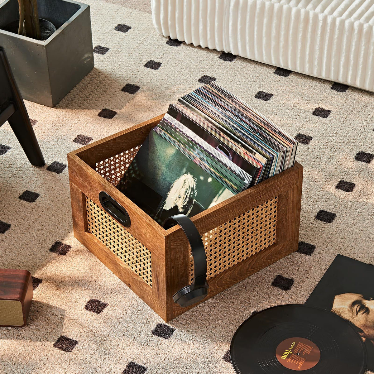 Vinyl Record Storage