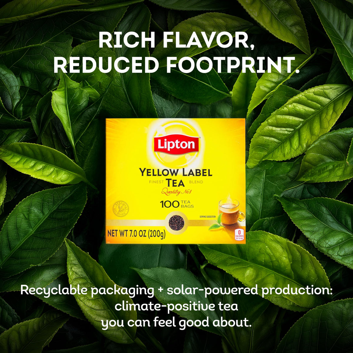 Yellow Label International Blend