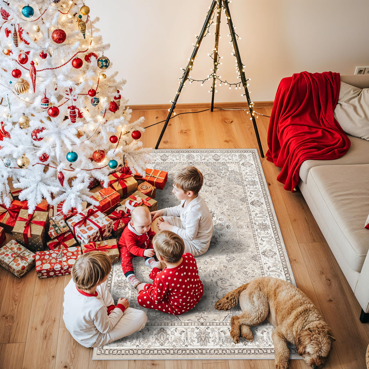 3x5 Living Room Area Rugs (15 Sq Ft)