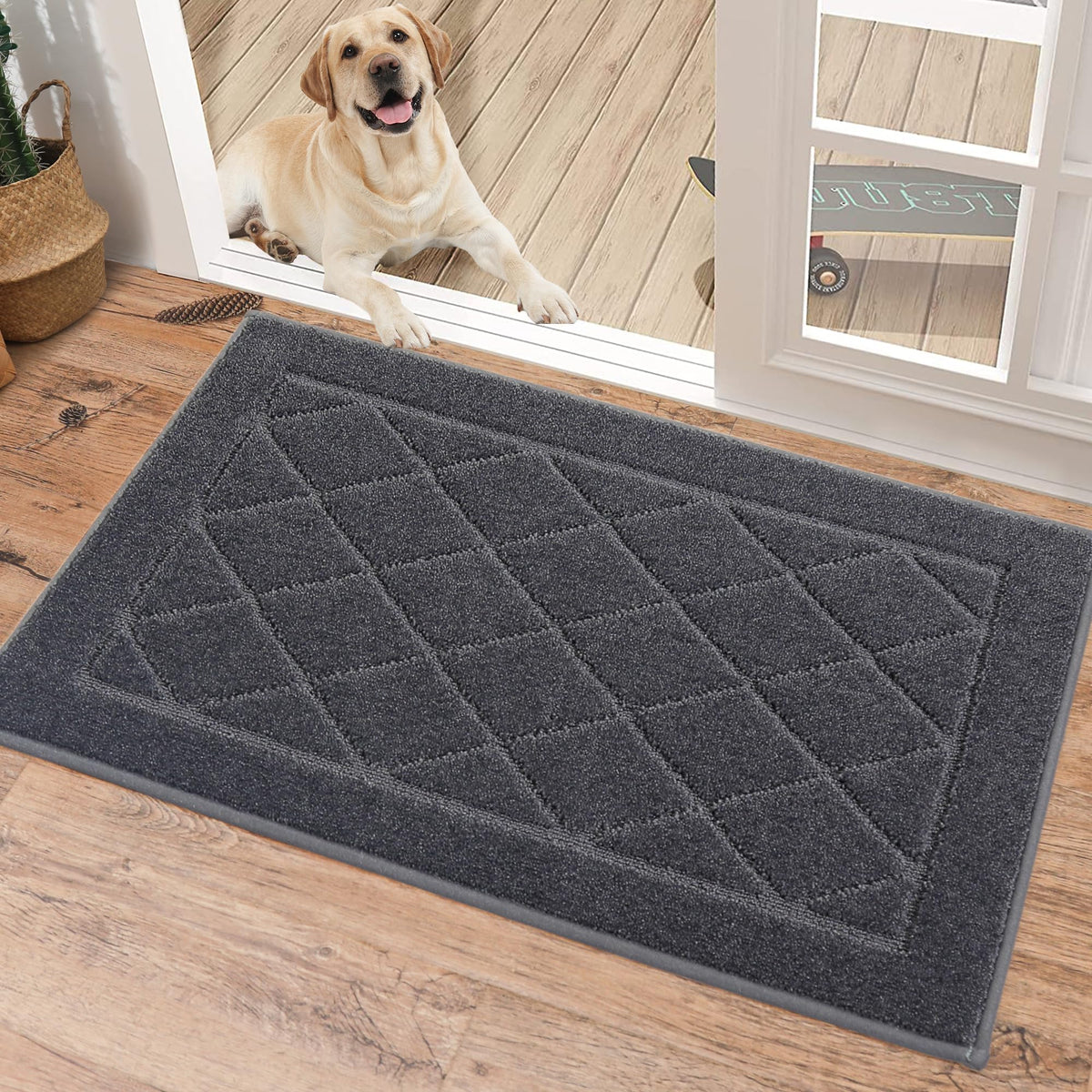 Dirt Trapper Door Mat 20" x 32"
