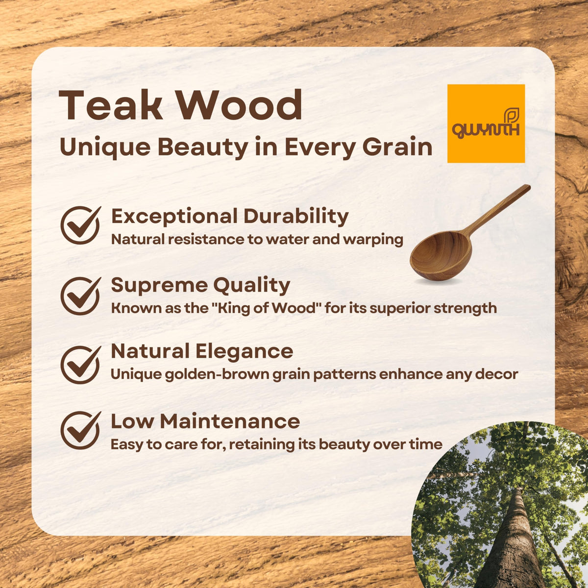 Wooden Coffee Scoop for Ground Coffee