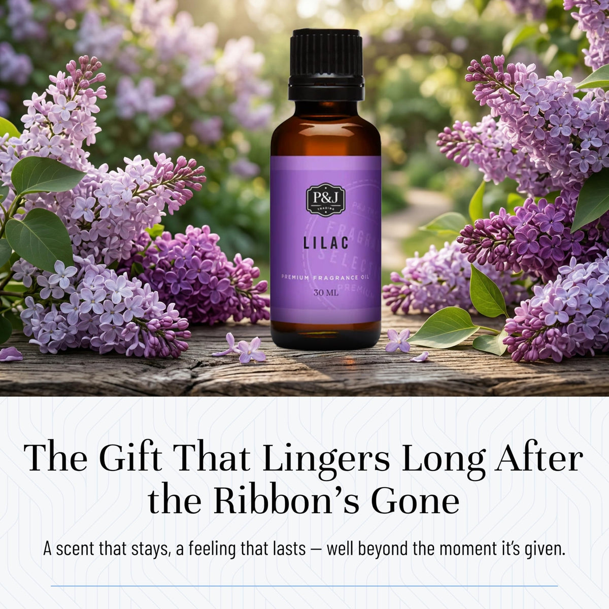 Fragrance Oil