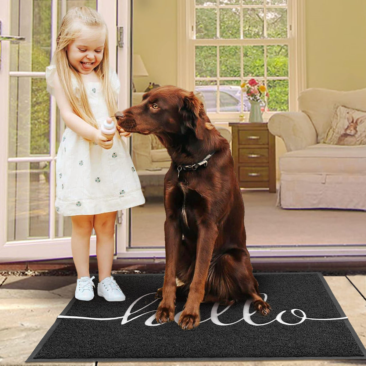 Funny Hello Mats Outdoor (4.46 Sq Ft)